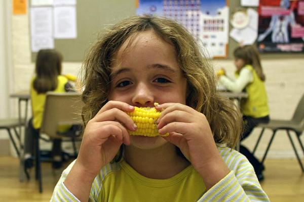 20. Sweetcorn in September.jpg
